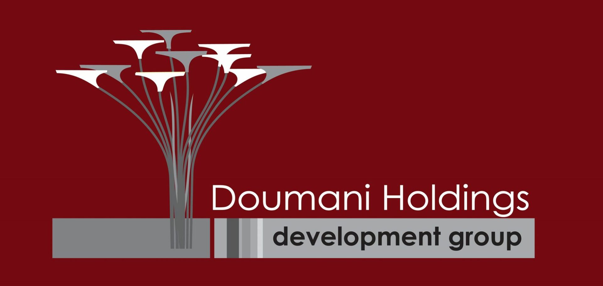 Doumani Holdings & Development Group